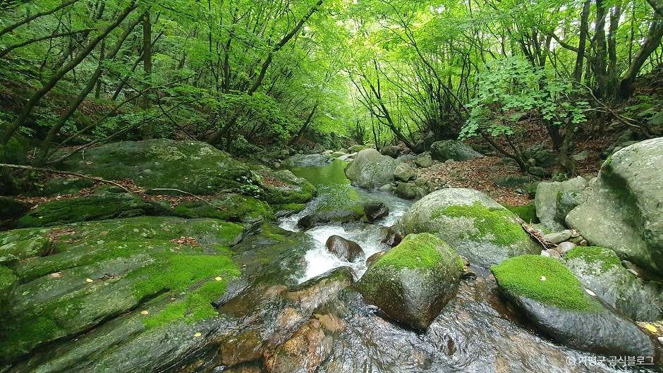 석룡산 여행 추천 - 로드트립