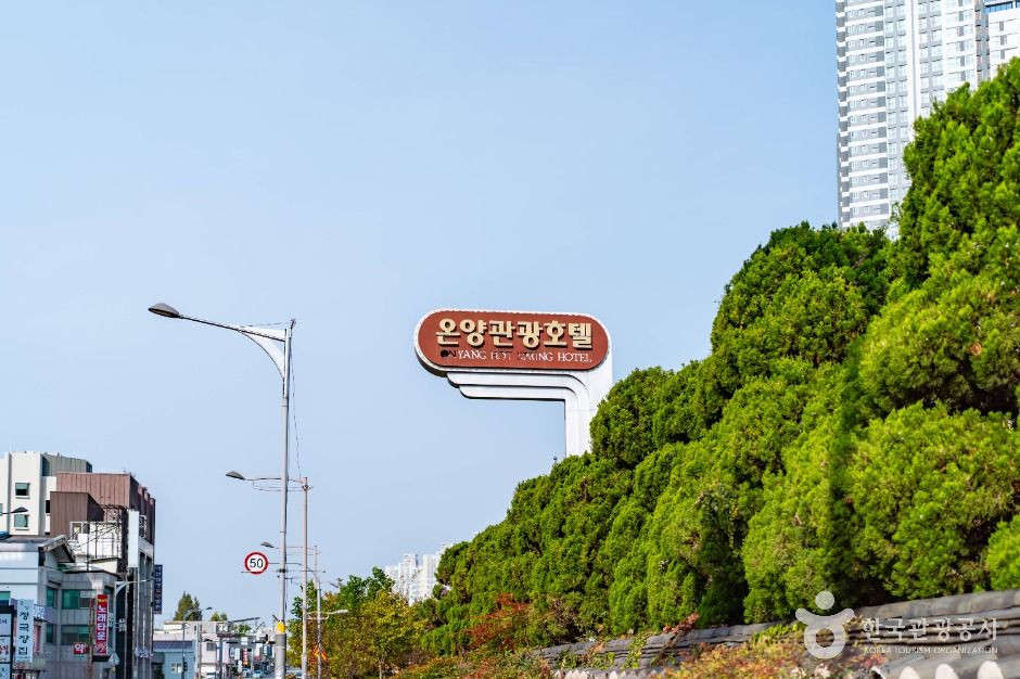 온양온천지구 여행 추천 - 로드트립