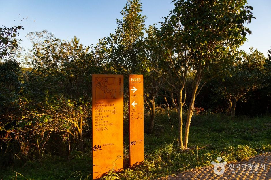 용산전망대 여행 추천 - 로드트립
