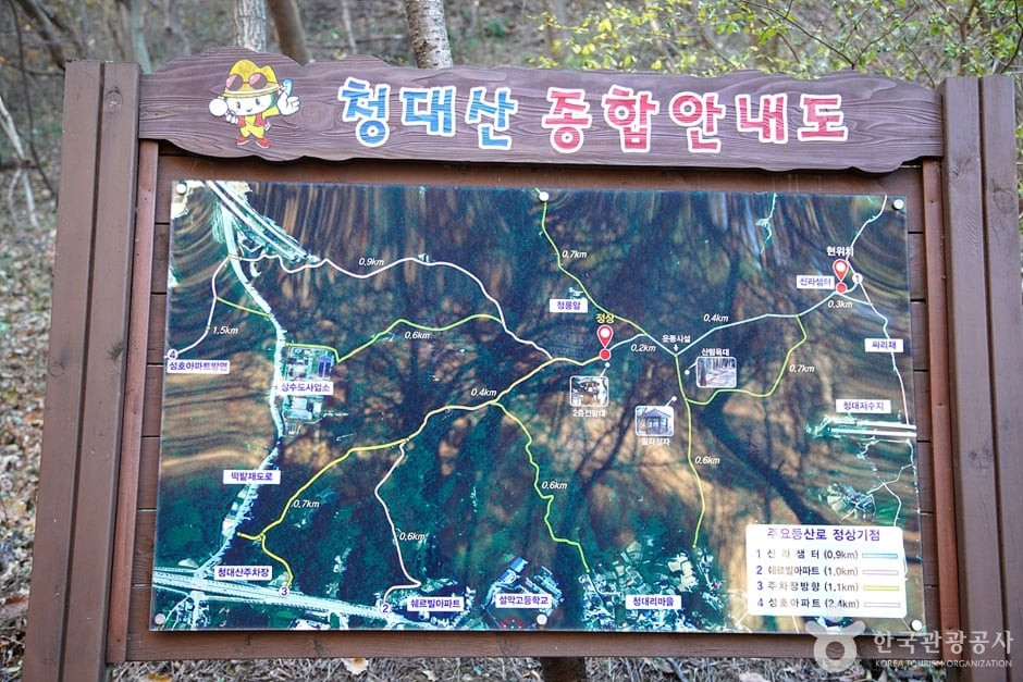 청대산 여행 추천 - 로드트립