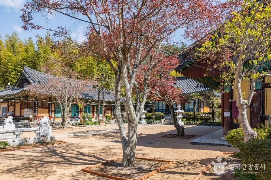 묘관음사 여행 추천 - 로드트립