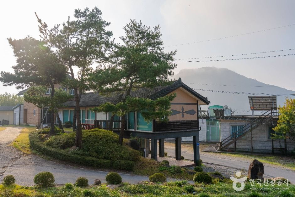 제천 산야초마을 여행 추천 - 로드트립