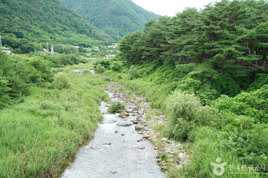 정선 가리왕산마을 여행 추천 - 로드트립