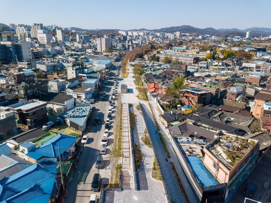 치악산 바람길숲 여행 추천 - 로드트립
