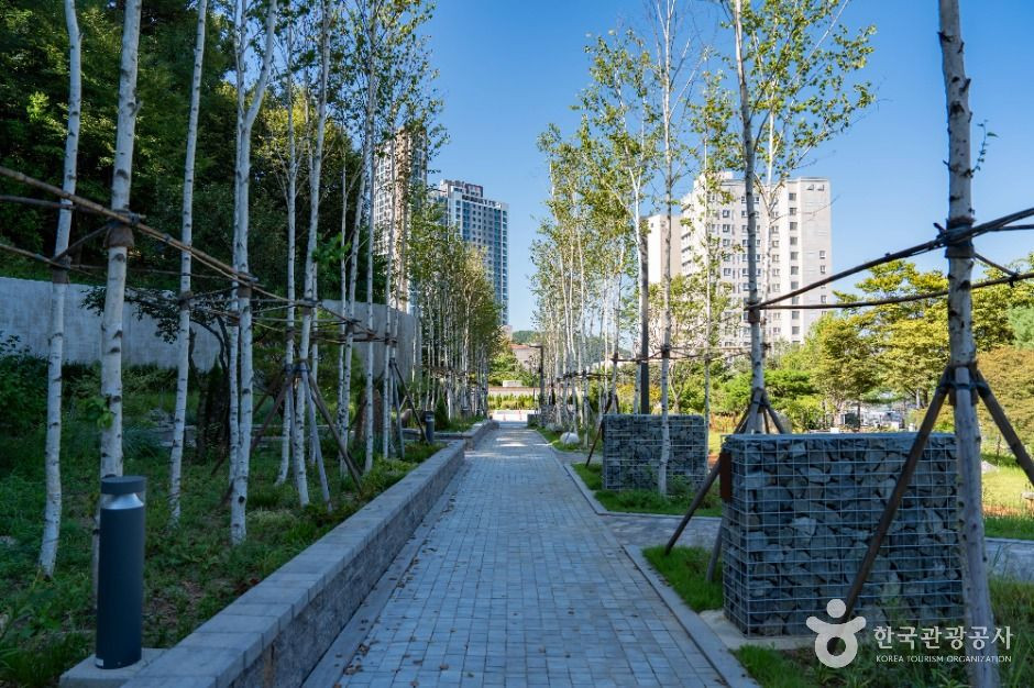 용인중앙공원 여행 추천 - 로드트립