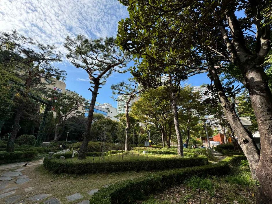 금남로공원 금남나비정원 여행 추천 - 로드트립