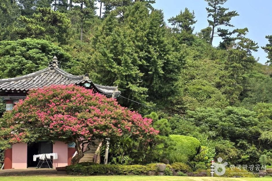 월영사(제주) 여행 추천 - 로드트립