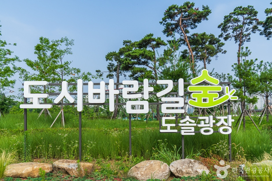 도솔광장 여행 추천 - 로드트립