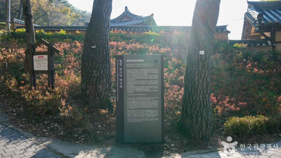 금시당 여행 추천 - 로드트립