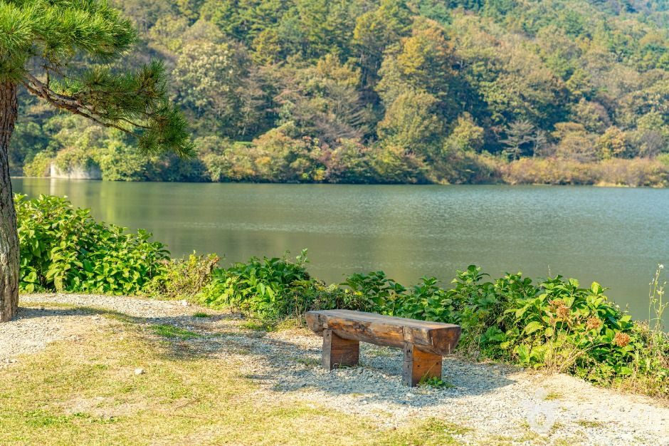 오성제 저수지 여행 추천 - 로드트립