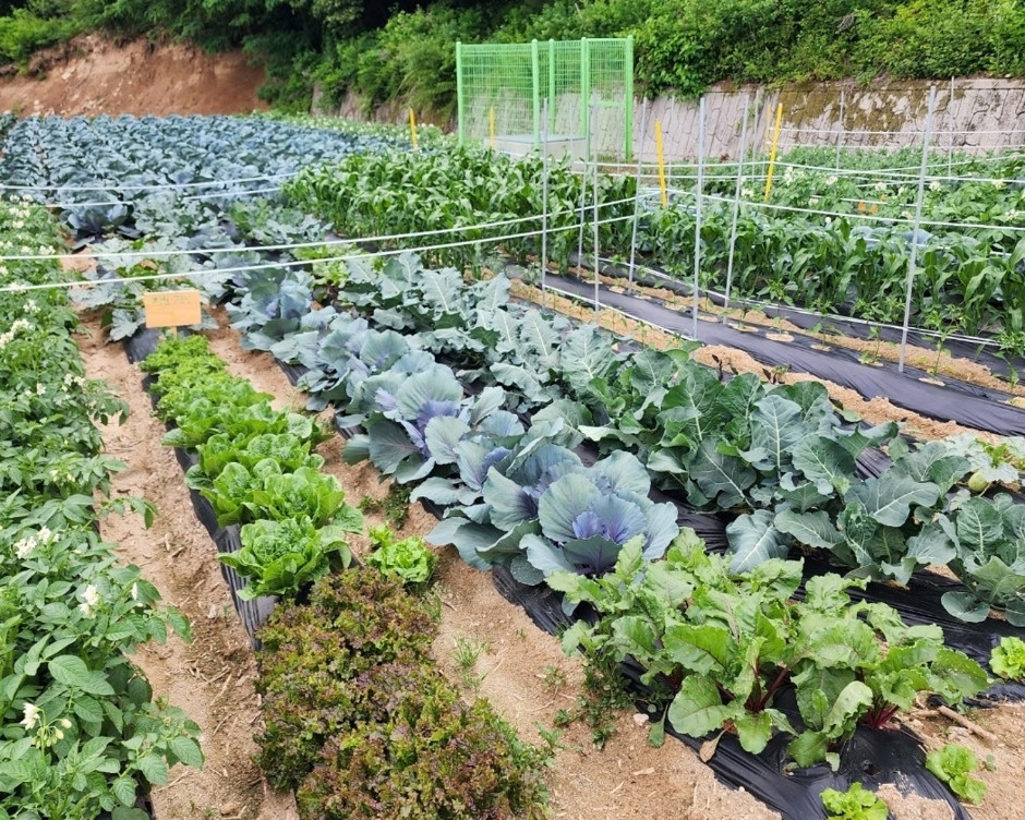 오대산힐링빌리지 여행 추천 - 로드트립