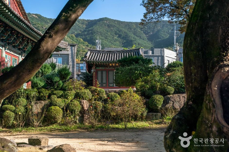 백련사(대구) 여행 추천 - 로드트립