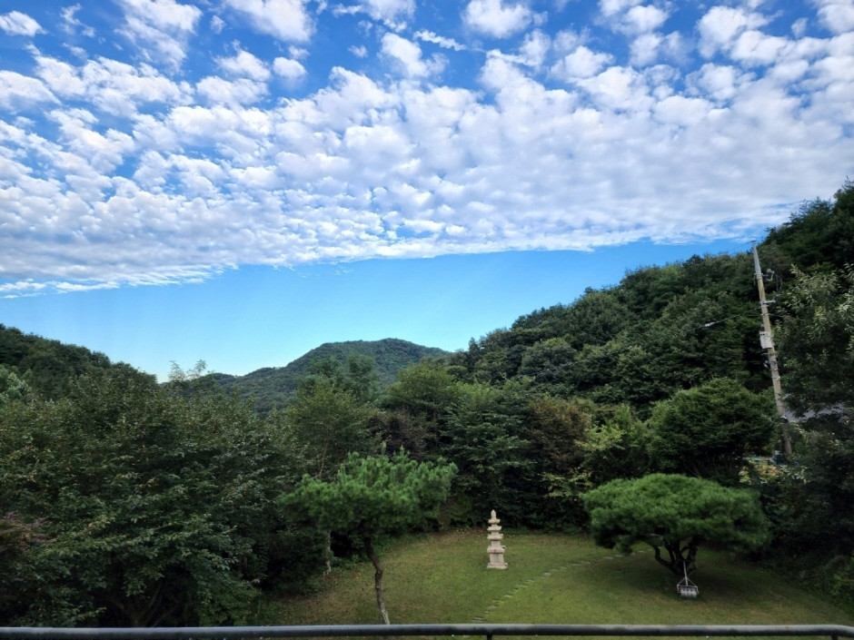 유한회사복합문화공간 서리울 여행 추천 - 로드트립