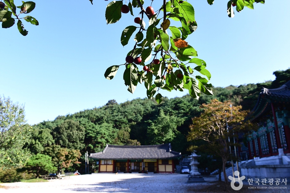 남고사(전주) 여행 추천 - 로드트립