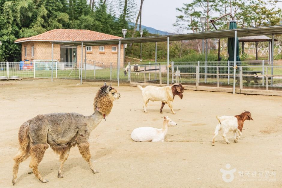 익산 액션하우스 여행 추천 - 로드트립