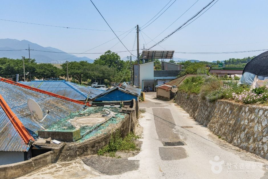 선진마을 여행 추천 - 로드트립