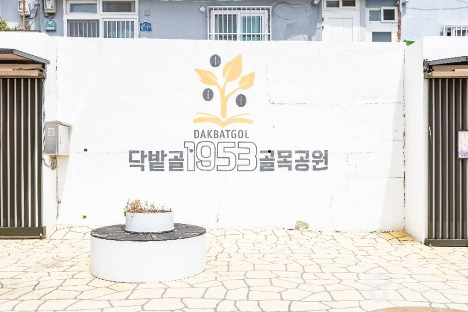 닥밭골 벽화마을 여행 추천 - 로드트립