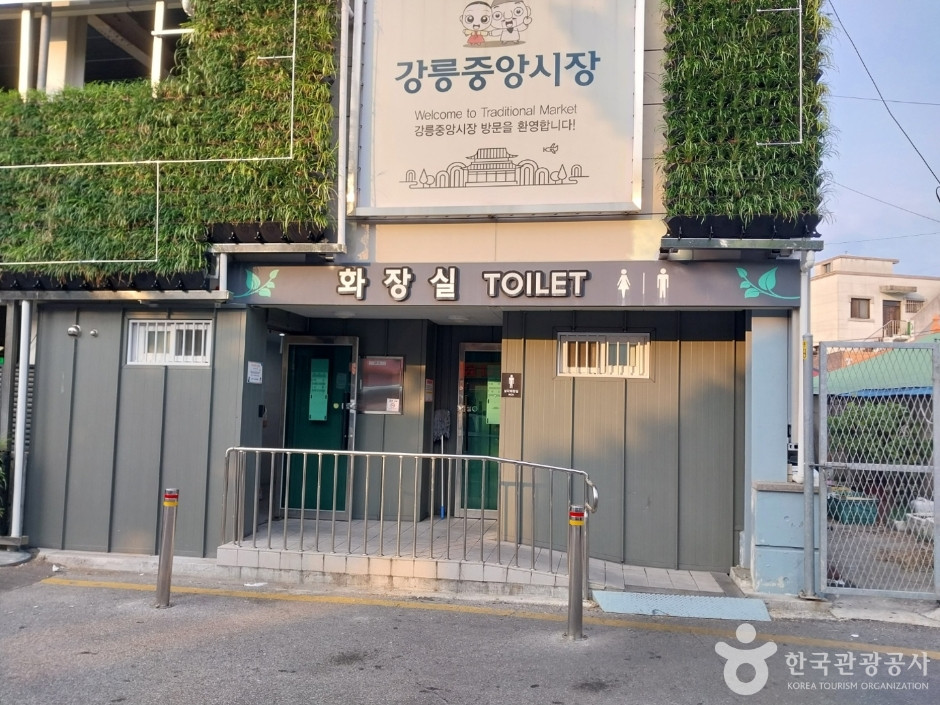 강릉 월화거리 여행 추천 - 로드트립