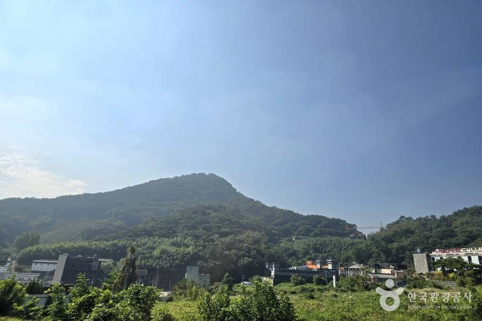 마금산 여행 추천 - 로드트립