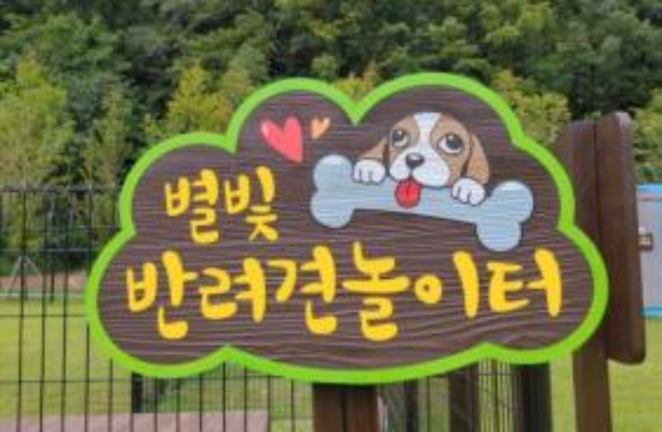 별빛 반려견놀이터 여행 추천 - 로드트립