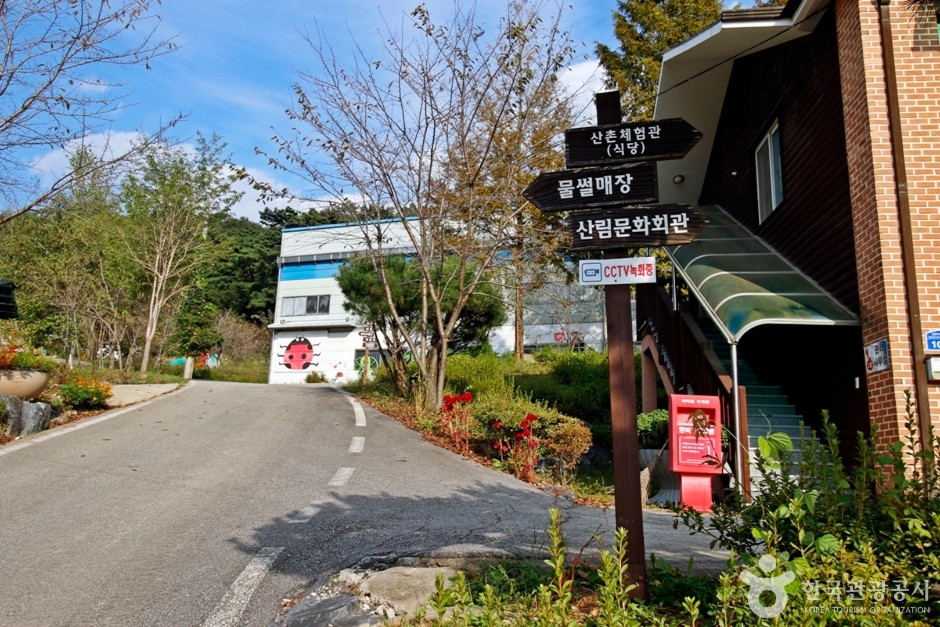 남천리 산촌생태마을 여행 추천 - 로드트립