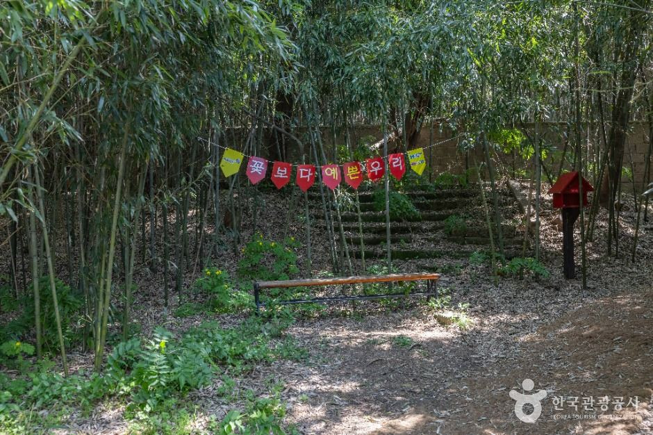 면천읍성 대숲바람길 여행 추천 - 로드트립