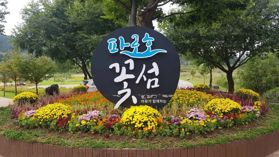 파로호꽃섬 여행 추천 - 로드트립