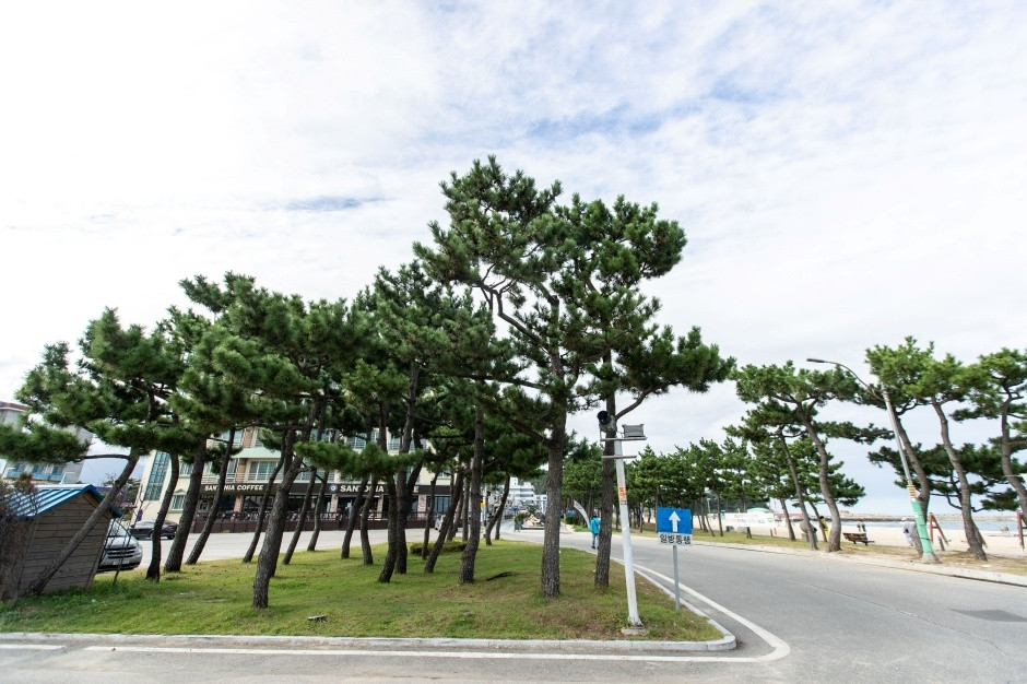 낙산해수욕장 여행 추천 - 로드트립