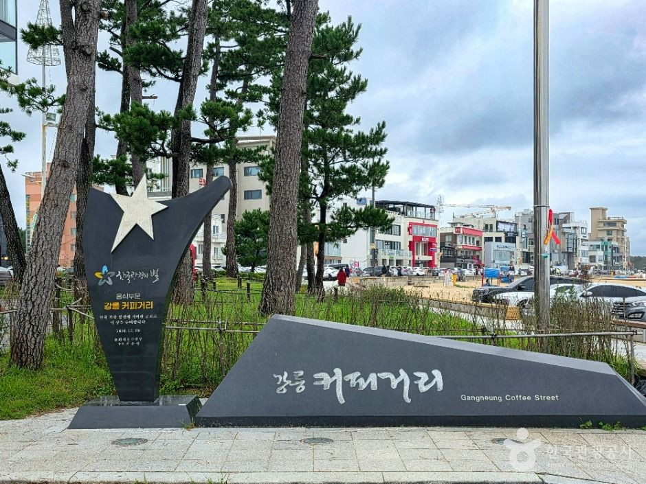 강릉커피거리 여행 추천 - 로드트립
