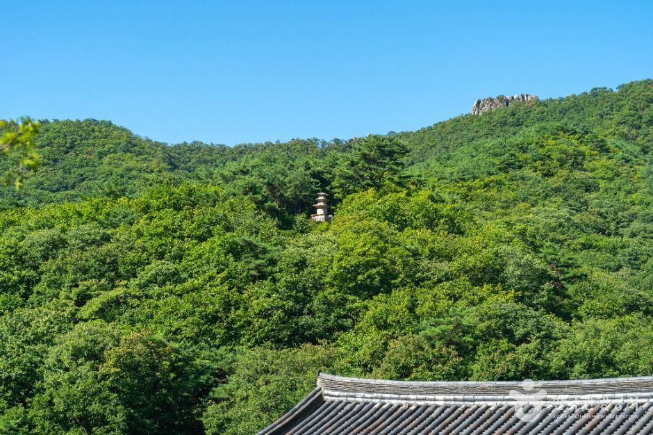 선본사(경산) 여행 추천 - 로드트립
