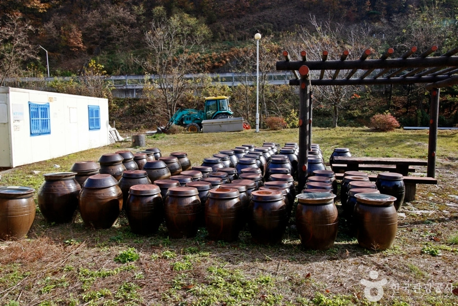 충주 상대촌농촌체험마을 여행 추천 - 로드트립