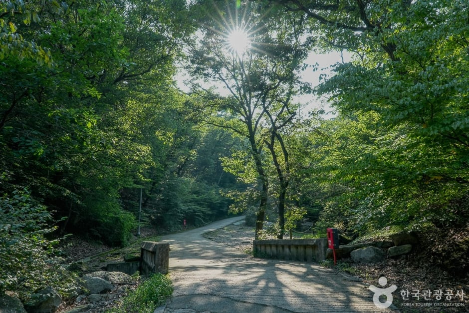 함허동천계곡 여행 추천 - 로드트립