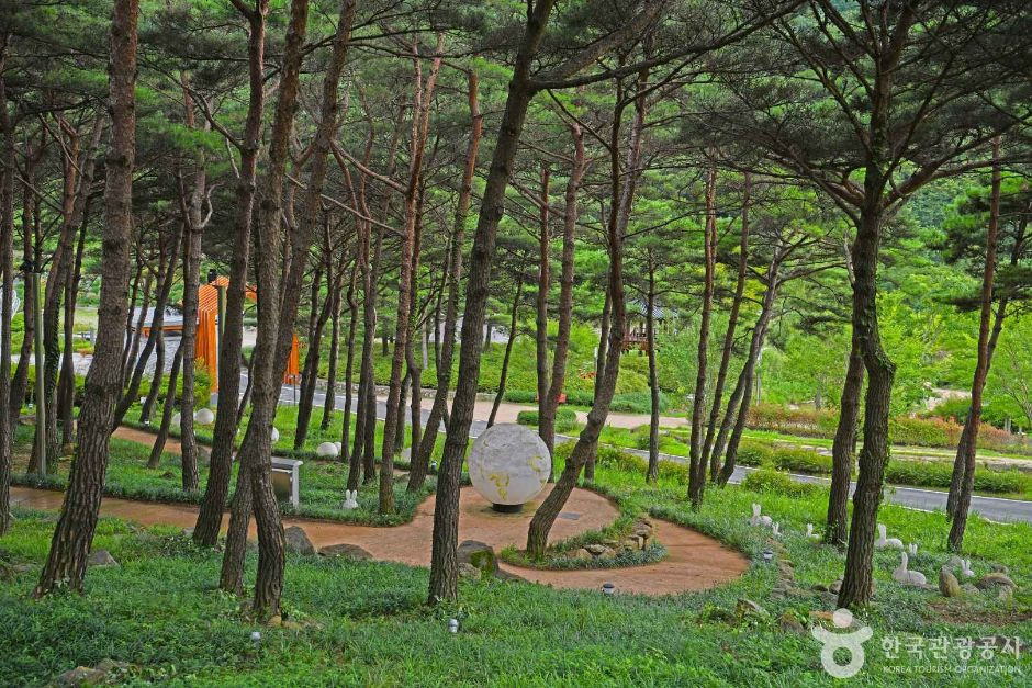 야생화테마랜드 여행 추천 - 로드트립