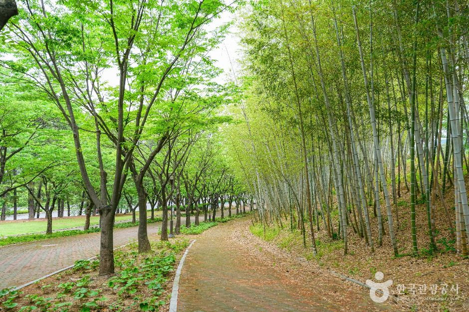 울산체육공원 여행 추천 - 로드트립