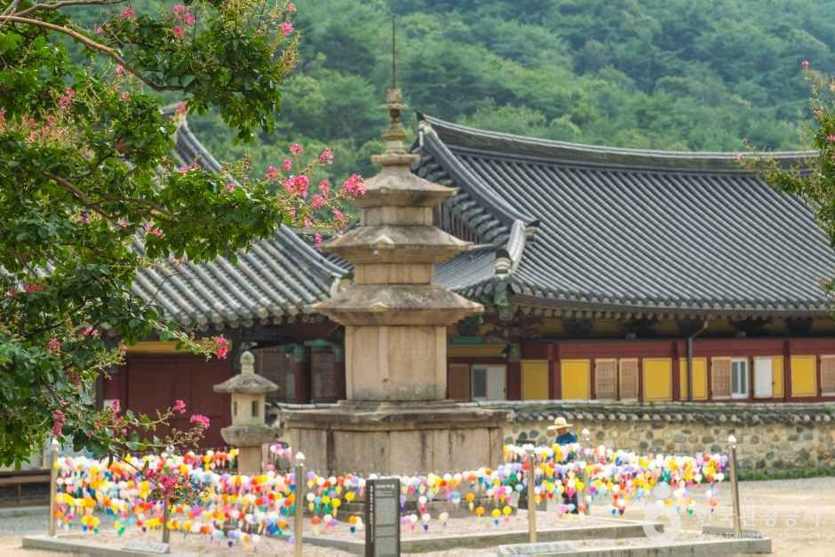 표충사(밀양) 여행 추천 - 로드트립
