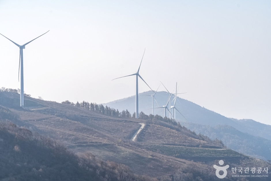 청옥산전망대 여행 추천 - 로드트립