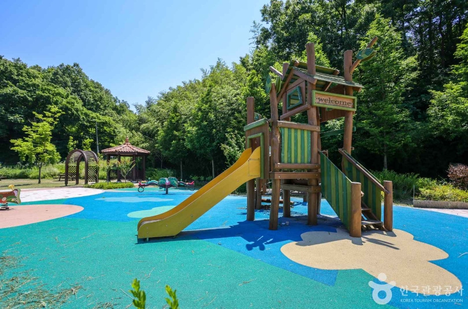 자드락숲 여행 추천 - 로드트립