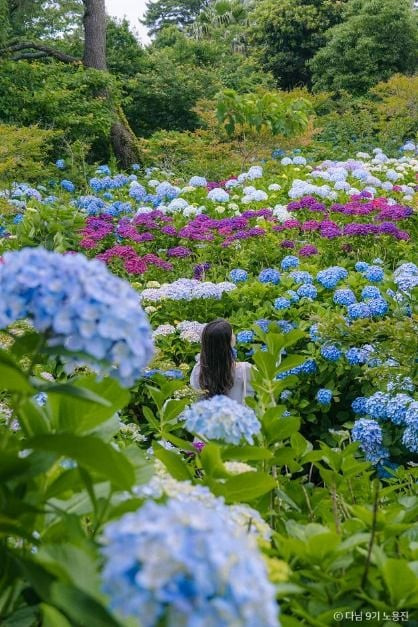 현애원 여행 추천 - 로드트립