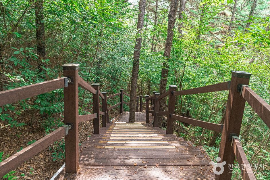 문수산산림욕장 여행 추천 - 로드트립