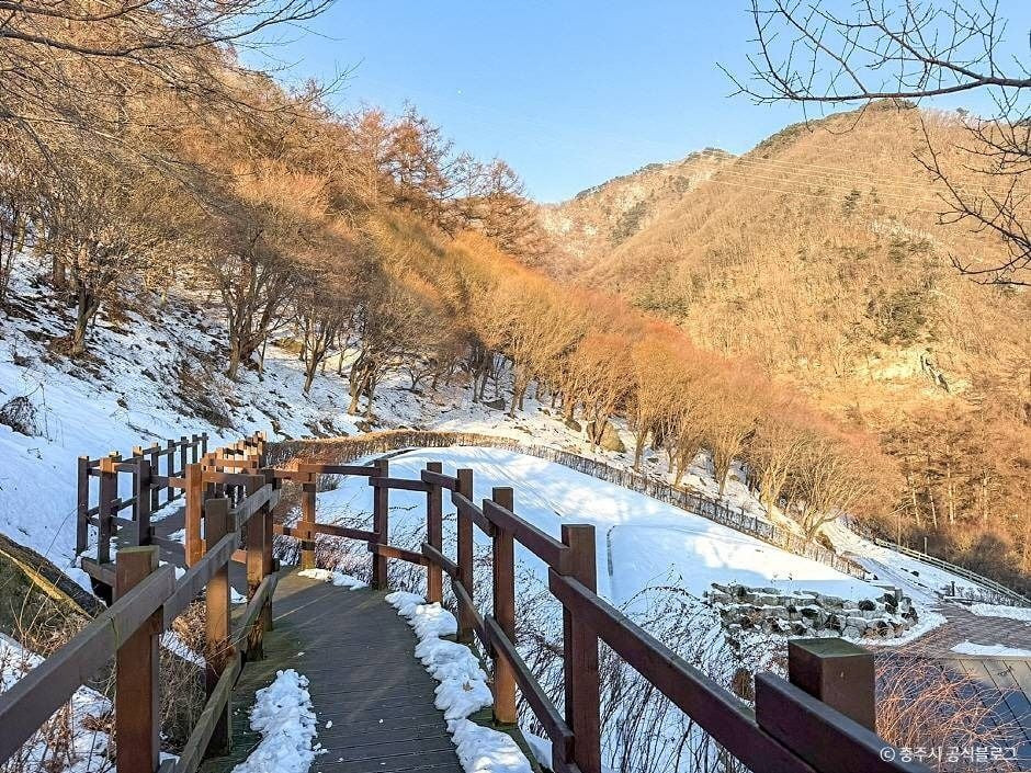 계명산 자연휴양림 여행 추천 - 로드트립