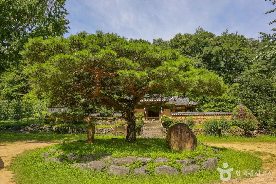 평광동 사과마을 여행 추천 - 로드트립