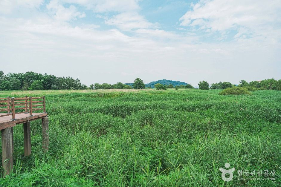 강서한강공원 여행 추천 - 로드트립