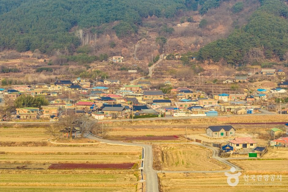 하사마을 여행 추천 - 로드트립