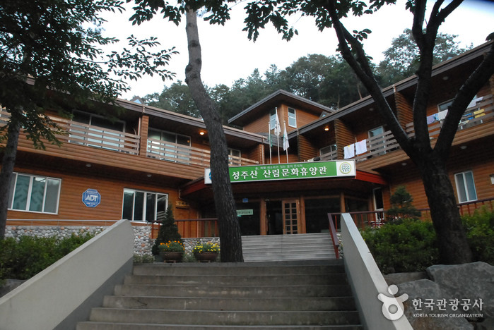 성주산자연휴양림 여행 추천 - 로드트립