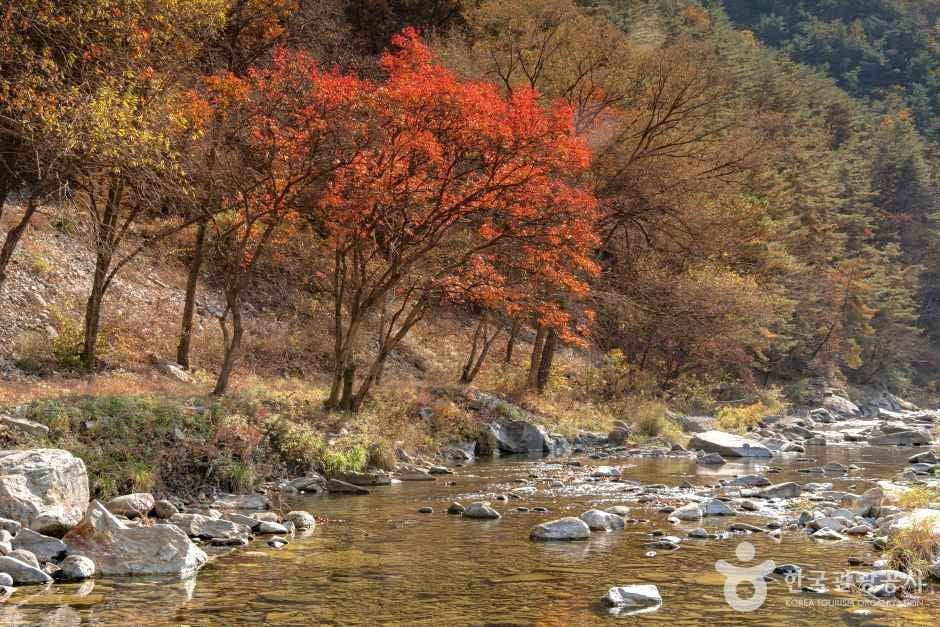 김삿갓 계곡 여행 추천 - 로드트립