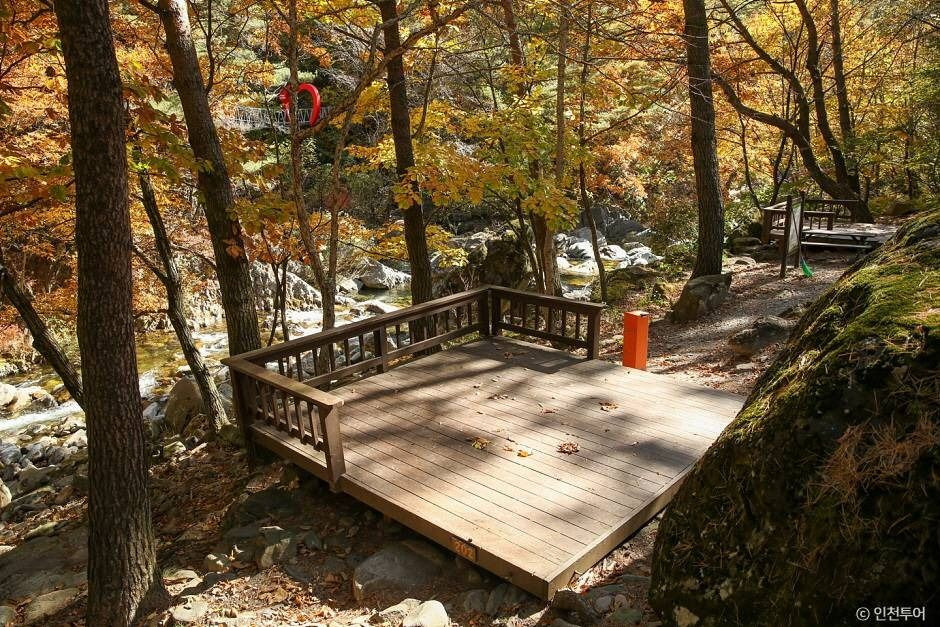 국립 가리왕산자연휴양림 여행 추천 - 로드트립