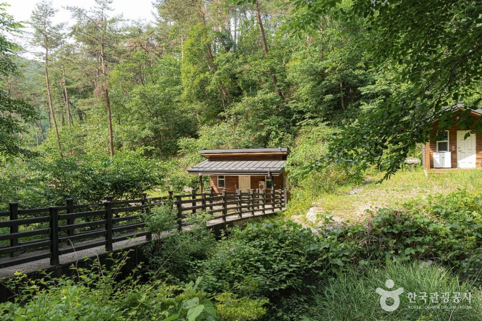 국립양평치유의숲 여행 추천 - 로드트립