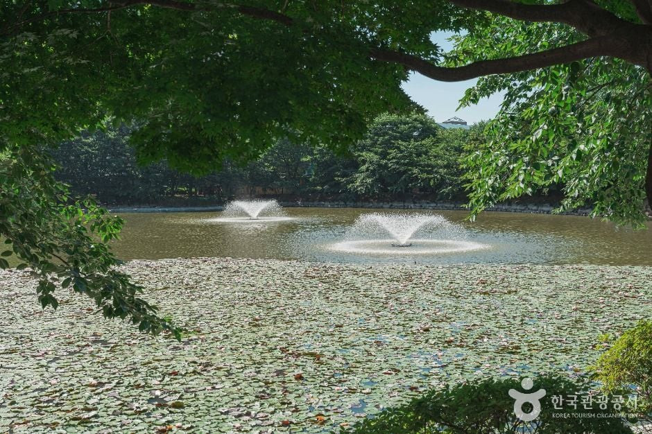 안흥유원지 여행 추천 - 로드트립