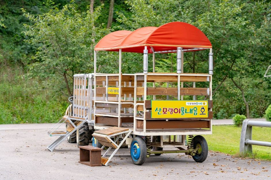 산모랭이풀내음 여행 추천 - 로드트립