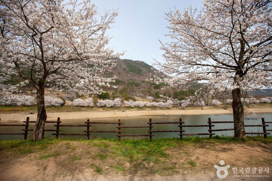동구리호수공원 여행 추천 - 로드트립